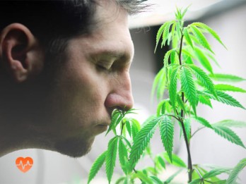 Детоксикация от марихуаны в Алчевске